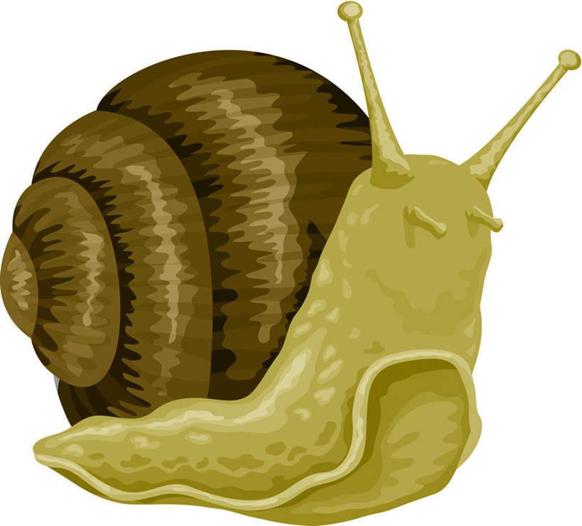 无人,横图,插画,室内,白天,白色背景,正面,数码,科技,阴影,丰富,网络,蜗牛,壳,褐色,高光,几何,计算机图形,合成,图画,画,一只,趴着,成熟,电脑合成图,数码合成图,漫画,写实,具体,具象,谦让,随和,趴,彩图,全身