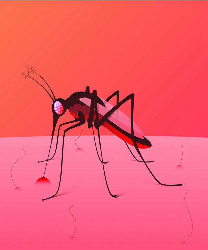 无人,站,竖图,插画,室内,白天,正面,数码,科技,桌子,蚊子,阴影,红色背景,反射,光线,光泽,网络,细菌,昆虫,影子,光芒,高光,几何,计算机图形,合成,图画,注视,画,一只,动物,低头,观察,看,站着,观看,电脑合成图,数码合成图,察看,关注,漫画,光辉,吸取,病菌,写实,具体,具象,害虫,传染,四害,吸收,毫光,汲取,吸血,寻觅蚊,站立,彩图