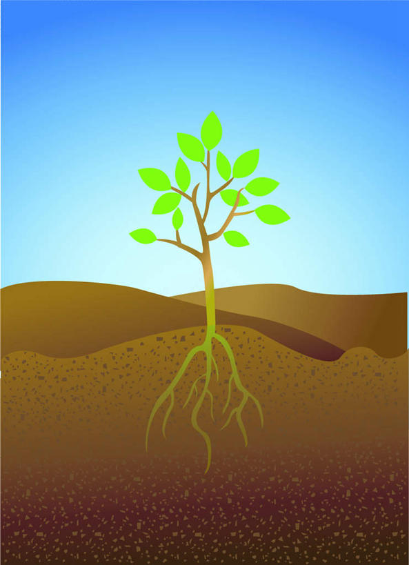 无人,竖图,插画,室内,白天,正面,数码,科技,美景,植物,一棵,阴影,网络,景观,泥土,根须,枝条,高光,几何,计算机图形,合成,图画,画,树,树干,树木,树枝,蓝色,绿色,蓝天,天空,自然,天,景色,生长,晴朗,成长,电脑合成图,数码合成图,自然风光,漫画,万里无云,写实,具体,具象,晴空,晴空万里,彩图