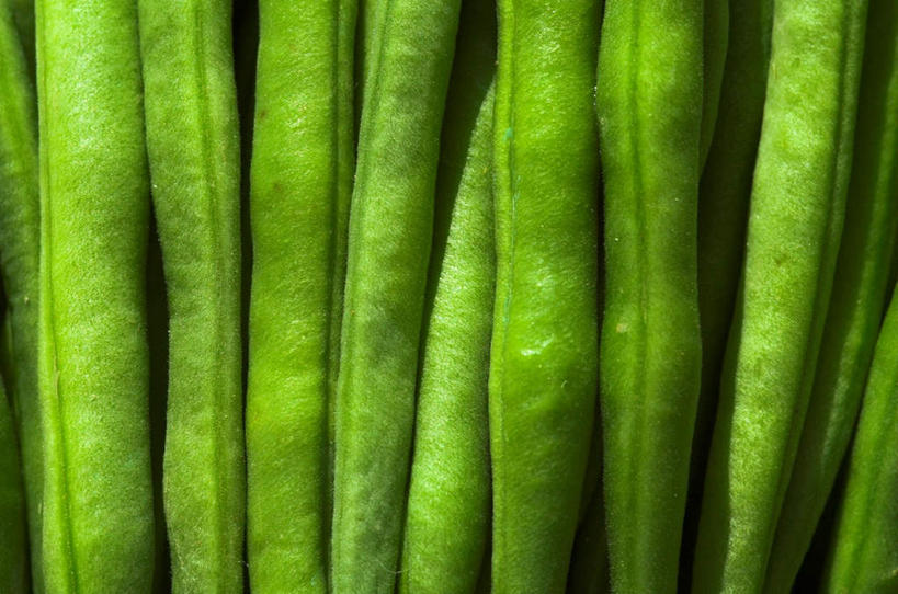 无人,横图,室内,白天,正面,植物,豆,蔬菜,一堆,许多,堆积,新鲜,豆类,豆子,食品,豆角,豇豆,食物,绿色,有机食品,绿色食品,堆,羊角,豆科,饭豆,线豆,角豆,腰豆,长豆,带豆,江豆,裙带豆,彩图