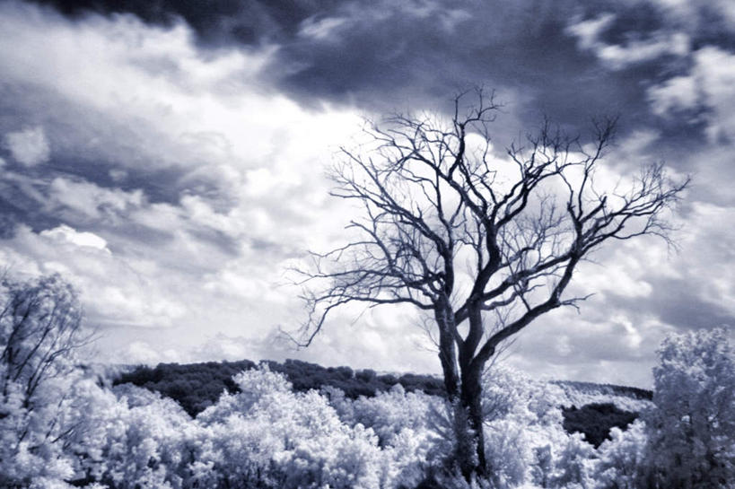 无人,横图,室外,白天,仰视,旅游,度假,安全,美景,山,山脉,树林,植物,平静,景观,山峰,云,云朵,山峦,云彩,娱乐,树,树木,蓝色,绿色,白云,蓝天,天空,自然,群山,天,享受,休闲,景色,放松,生长,晴朗,成长,宁静,自然风光,和平,安详,太平,安适,安好,宁靖,晴空,彩图,低角度拍摄