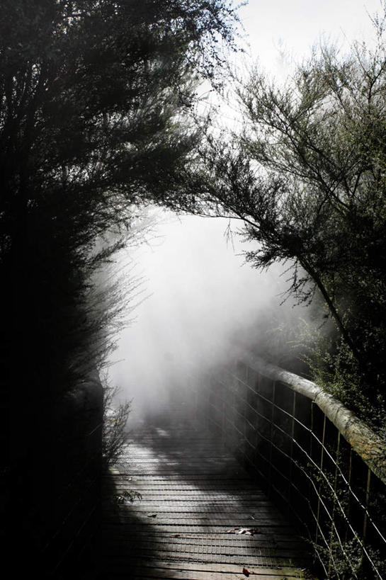 无人,栏杆,竖图,黑白,室外,白天,正面,草地,草坪,美景,植物,雾,阴影,朦胧,模糊,光线,木板,影子,栅栏,景观,篱笆,围栏,桥,木桥,护栏,栈桥,草,树,树木,绿色,阳光,自然,景色,生长,成长,人行桥,木板桥,迷雾,自然风光,大雾