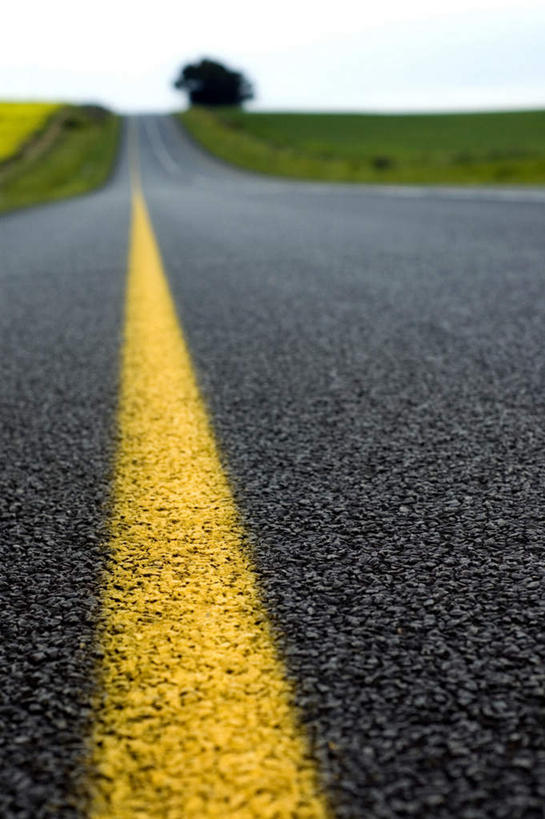 无人,竖图,室外,白天,正面,草地,草坪,植物,道路,路,公路,阴影,朦胧,模糊,光线,影子,分界线,停车线,交通,草,树,树木,黄色,绿色,天空,阳光,自然,天,生长,成长,车行道,车行道分界线,延伸,标线,车行线,延长,马路,彩图