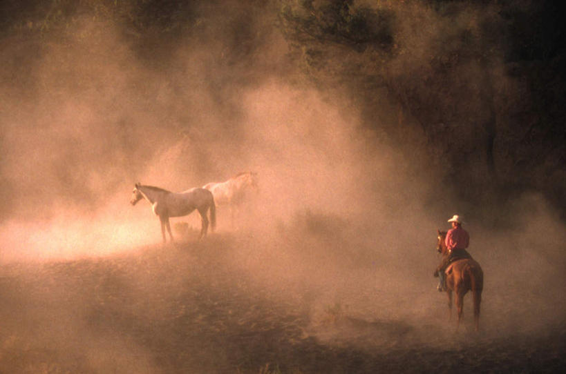 西方人,一个人,横图,室外,白天,旅游,度假,草地,草坪,美景,植物,雾,马,野生动物,欧洲,美国,欧洲人,仅一个男性,仅一个人,骑马,阴影,朦胧,模糊,光线,影子,景观,娱乐,草,仅一个年轻男性,背面,绿色,阳光,自然,动物,享受,休闲,景色,放松,运输,牲畜,迷雾,北美,北美洲,自然风光,三匹,美洲,北亚美利加洲,亚美利加洲,男人,男性,年轻男性,白种人,大雾,半身,彩图