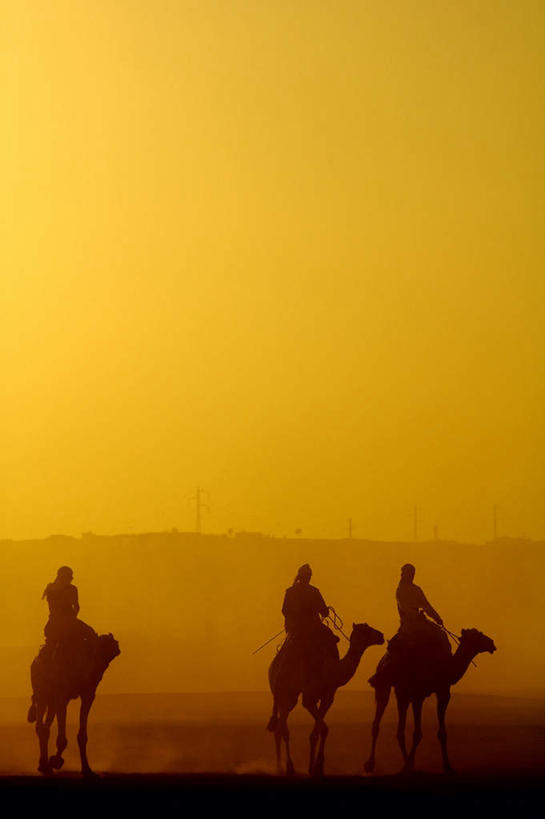 西方人,三个人,走,竖图,室外,白天,侧面,旅游,度假,美景,沙漠,野生动物,欧洲,欧洲人,朦胧,模糊,光线,光泽,景观,光芒,尘埃,娱乐,骆驼,骑,黄色,自然,黄昏,动物,享受,休闲,景色,放松,运输,灰尘,尘土,自然风光,三匹,光辉,沙漠之舟,毫光,薄暮,白种人,大漠,砂漠,步行,散步,走路,半身,彩图,傍晚