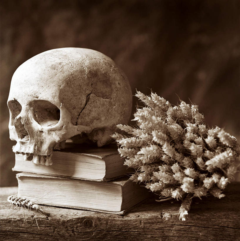 骨骼,无人,竖图,室内,特写,白天,正面,看书,阅读,静物,书籍,学习,朦胧,模糊,破旧,陈旧,骷髅,头骨,褐色,骨头,花蕾,花,灰色,书本,花苞,花蕊,看,读书,浏览,骨架,陈腐,书,图书,彩图