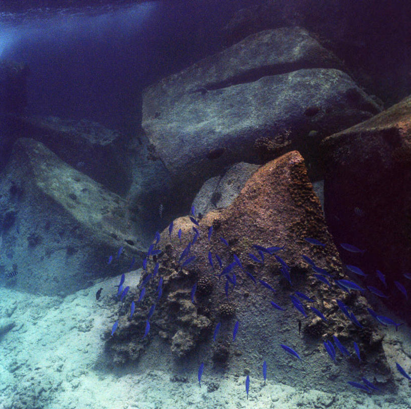 无人,横图,室外,白天,正面,海底,水下,礁石,石头,阴影,光线,鱼,沙子,珊瑚,石子,影子,水底,珊瑚礁,鱼类,海洋生物,蓝色,阳光,海底世界,水生动物,水生物,海底动物,海底礁,海床,礁,石块,岩石,彩图