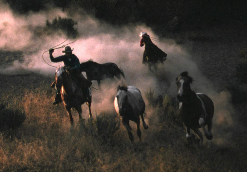 西方人,一个人,横图,室外,白天,正面,荒凉,沙漠,植物,马,野生动物,欧洲,欧洲人,仅一个男性,仅一个人,许多,阴影,枯萎,光线,影子,荒野,枯草,很多,尘埃,草,仅一个年轻男性,骑,黄色,阳光,黄昏,动物,运输,牲畜,生长,成长,灰尘,尘土,荒原,冷落,薄暮,男人,男性,年轻男性,白种人,大漠,荒芜,砂漠,彩图,全身,傍晚