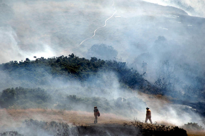 西方人,两个人,伙伴,朋友,消防员,站,横图,室外,白天,正面,友谊,森林,树林,植物,雾,欧洲,欧洲人,朦胧,模糊,烟雾,树,树木,绿色,自然,站着,生长,成长,迷雾,友情,男人,男性,年轻男性,白种人,救火员,大雾,站立,半身,彩图