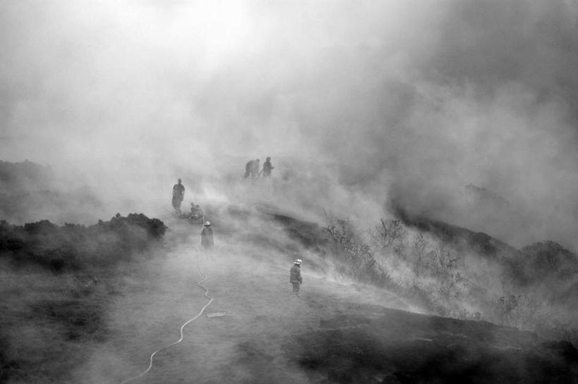 西方人,两个人,伙伴,朋友,消防员,站,横图,室外,白天,正面,友谊,森林,树林,植物,雾,欧洲,欧洲人,朦胧,模糊,烟雾,树,树木,绿色,自然,站着,生长,成长,迷雾,友情,男人,男性,年轻男性,白种人,救火员,大雾,站立,半身,彩图