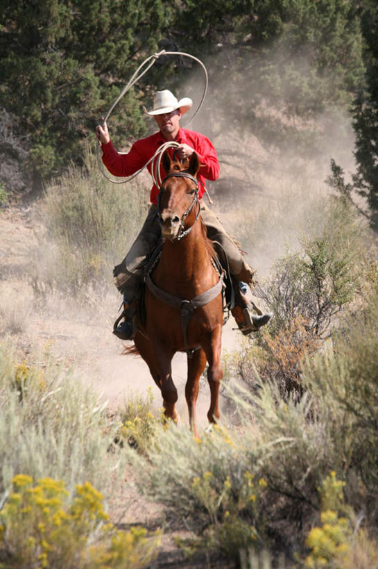 西方人,一个人,牛仔,坐,竖图,室外,白天,正面,草地,草坪,植物,马,野生动物,帽子,欧洲,欧洲人,仅一个男性,仅一个人,奔驰,阴影,服装,漂浮,飘扬,光线,影子,飘落,尘埃,注视,休闲装,一匹,草,树,树木,仅一个年轻男性,衣服,红色,绿色,阳光,自然,动物,奔跑,观察,驾驶,看,行驶,休闲,休闲服,牛仔帽,运输,服饰,牲畜,生长,成长,观看,下沉,操纵,灰尘,尘土,控制,察看,挥动,挥舞,关注,马鞭,降落,操控,把持,飘零,摆荡,男人,男性,年轻男性,白种人,牧牛工,牧牛人,牧童,坐着,彩图,全身