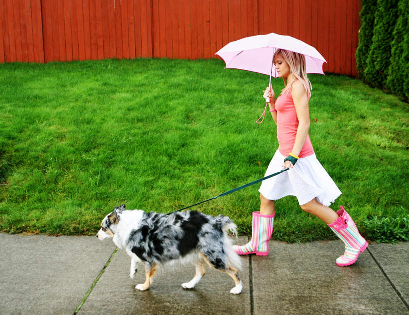 西方人,儿童,头发,一个人,走,举,横图,俯视,室外,白天,纯洁,草地,草坪,植物,宠物,狗,鞋子,欧洲,欧洲人,仅一个女性,仅一个人,一条,撑开,牵,握,服装,伞,雨伞,墙,拿,拿着,休闲装,阳伞,靴子,墙壁,墙面,草,树,树木,小孩,衣服,粉色,绿色,自然,动物,打开,托,仅一个小孩,休闲,休闲服,金色,可爱,童年,童趣,握着,服饰,生长,成长,牵着,童真,烂漫,无邪,忠诚,天真,女孩,女人,女性,白种人,孩子,犬,步行,举起,举手,举着,散步,向上举,向上伸,向上托,走路,彩图,高角度拍摄,全身,女生