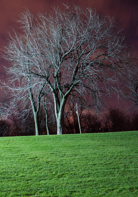 无人,竖图,室外,夜晚,正面,旅游,度假,草地,草坪,美景,秋季,日落,植物,加拿大,阴影,光线,影子,景观,晚霞,霞光,落日,娱乐,草,树,树木,绿色,阳光,自然,黄昏,享受,休闲,景色,彩霞,放松,生长,成长,北美,北美洲,自然风光,美洲,北亚美利加洲,亚美利加洲,魁北克省,蒙特利尔,蒙特利尔市,蒙特娄,圣人之城,夕照,秋,秋天,夕阳,彩图,斜阳