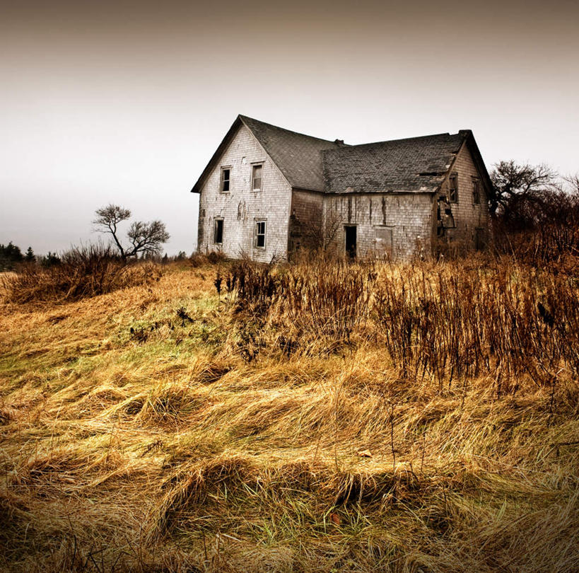 家,农田,横图,室外,白天,正面,旅游,度假,庄稼,农作物,美景,植物,别墅,加拿大,一排,许多,阴影,枯萎,整齐,光线,影子,房屋,屋子,景观,公寓,枯草,枝条,很多,娱乐,洋房,楼房,住宅,草,树,树木,树枝,排列,黄色,蓝色,蓝天,天空,阳光,自然,天,享受,休闲,景色,放松,晴朗,北美,北美洲,队列,自然风光,美洲,新斯科舍,万里无云,北亚美利加洲,亚美利加洲,布雷顿角岛,新斯科舍省,虬枝,枝杈,晴空,晴空万里,半身,彩图,耕地,庄稼田,房子