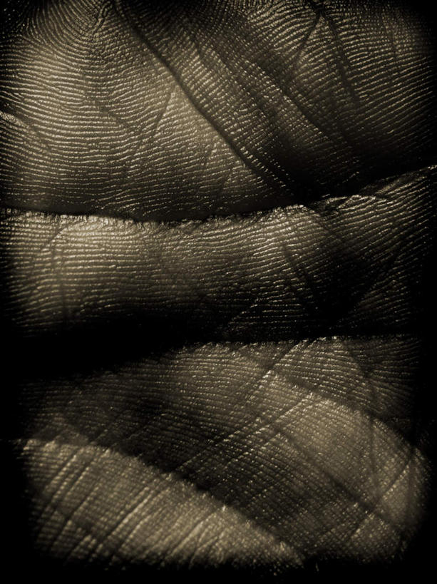 西方人,手掌,皱纹,一个人,竖图,俯视,室内,特写,白天,欧洲,欧洲人,仅一个男性,仅一个人,仅一个中年男性,肮脏,邋遢,龌龊,污秽,恶浊,男人,男性,中年男性,白种人,半身,彩图,高角度拍摄