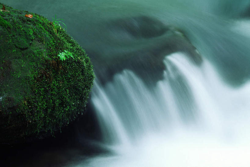 无人,横图,俯视,室外,白天,旅游,度假,河流,石头,美景,瀑布,森林,树林,水,植物,飞溅,朦胧,模糊,溅,石子,液体,河水,景观,水滴,水流,青苔,苔藓,夏季,娱乐,水珠,树,树木,绿色,小溪,自然,溪水,夏日,夏天,享受,休闲,景色,放松,生长,成长,喷洒,自然风光,炎天,跌水,石块,岩石,彩图,高角度拍摄