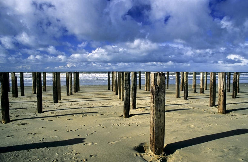 无人,横图,室外,白天,正面,旅游,度假,美景,沙漠,欧洲,荷兰,枯萎,墙,景观,树桩,娱乐,墙壁,墙面,树,树干,自然,享受,休闲,木桩,景色,放松,死亡,西欧,自然风光,荷兰王国,尼德兰王国,枯败,大漠,砂漠,彩图