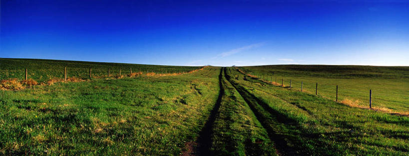 无人,农田,栏杆,横图,全景,室外,白天,正面,旅游,度假,庄稼,农作物,草地,草坪,美景,植物,加拿大,一排,阴影,整齐,光线,影子,栅栏,景观,篱笆,围栏,娱乐,护栏,草,排列,蓝色,绿色,蓝天,天空,阳光,自然,天,享受,休闲,景色,放松,晴朗,北美,北美洲,队列,自然风光,美洲,万里无云,洛矶山脉,落基山脉,北亚美利加洲,亚美利加洲,亚伯达盆地,晴空,晴空万里,彩图,耕地,庄稼田