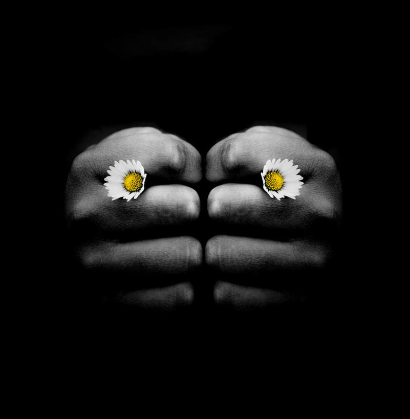 西方人,手,拳,一个人,站,竖图,黑白,室内,特写,白天,正面,快乐,幸福,植物,欧洲,欧洲人,双手,仅一个男性,仅一个人,握,黑色背景,盛开,玛格丽特,注视,鼓励,雏菊,花,花瓣,花朵,花卉,鲜花,仅一个年轻男性,两朵,白色,花蕊,观察,加油,看,手势,握拳,站着,手部,菊花,活力,打气,握着,摄影,影棚,观看,希望,察看,坚强,关注,鼓舞,和平,离别,延命菊,幸福花,春菊,马兰头花,暗恋,纯情,单恋,天真,男人,男性,年轻男性,白种人,拳头,站立,半身,影棚拍摄,愉快,拍摄