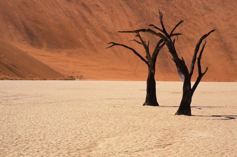 无人,横图,室外,白天,正面,旅游,度假,草地,草坪,美景,日落,植物,非洲,纳米比亚,阴影,干枯,光线,影子,景观,晚霞,霞光,落日,首都,娱乐,草,树,树木,天空,阳光,自然,黄昏,天,享受,休闲,景色,彩霞,放松,凋落,凋谢,自然风光,脱落,凋零,纳米比亚共和国,温得和克,夕照,雕残,雕零,雕落,夕阳,彩图,斜阳