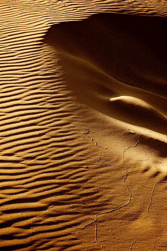 竖图,室外,白天,正面,旅游,度假,美景,沙漠,一排,阴影,整齐,光线,纹理,影子,景观,娱乐,排列,黄色,阳光,自然,享受,休闲,景色,放松,队列,自然风光,美洲,肌理,亚美利加洲,加勒比,加勒比国家联盟,大漠,砂漠,半身,彩图