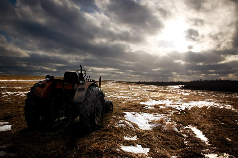无人,横图,室外,白天,仰视,旅游,度假,石头,美景,雪,植物,大雪,覆盖,枯萎,光线,光泽,石子,积雪,景观,雪景,云,云朵,冬季,冬天,枯草,光芒,照射,云彩,娱乐,草,黄色,蓝色,白云,蓝天,天空,自然,天,享受,休闲,景色,放松,寒冷,晴朗,自然风光,照耀,光辉,遮盖,严寒,毫光,笼罩,笼盖,映照,石块,岩石,晴空,彩图,低角度拍摄