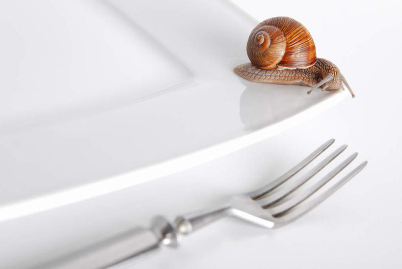 无人,横图,室内,白天,正面,餐具,一把,蜗牛,叉子,刀叉,刀子,碟子,盘,一个,一只,动物,盘子,碟,趴着,单个,软体动物,餐刀,餐叉,进餐用具,趴,彩图,全身