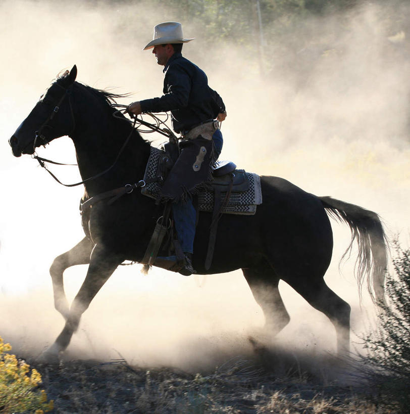 西方人,一个人,跑,竖图,室外,白天,侧面,锻炼,运动,马,野生动物,帽子,欧洲,欧洲人,仅一个男性,仅一个人,骑马,阴影,光线,影子,尘埃,礼帽,一匹,仅一个年轻男性,阳光,动物,运输,牲畜,灰尘,尘土,体育,男人,男性,年轻男性,白种人,跑步,彩图,全身,健身