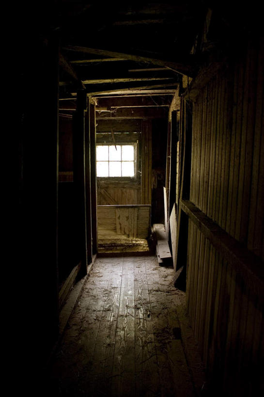 无人,竖图,室外,白天,正面,窗户,落地窗,天花板,阴影,光线,木制,影子,墙,地面,玻璃窗,墙壁,墙面,阳光,木制品,彩图