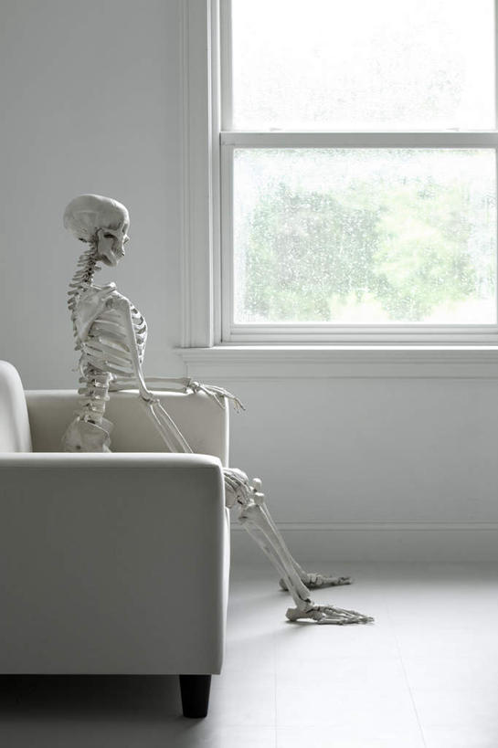 骨骼,无人,竖图,俯视,室内,白天,植物,窗户,落地窗,沙发,两棵,阴影,光线,影子,墙,灯光,骨头,地面,玻璃窗,墙壁,墙面,树,树木,一个,绿色,自然,生长,单个,成长,骨架,布艺沙发,彩图,高角度拍摄