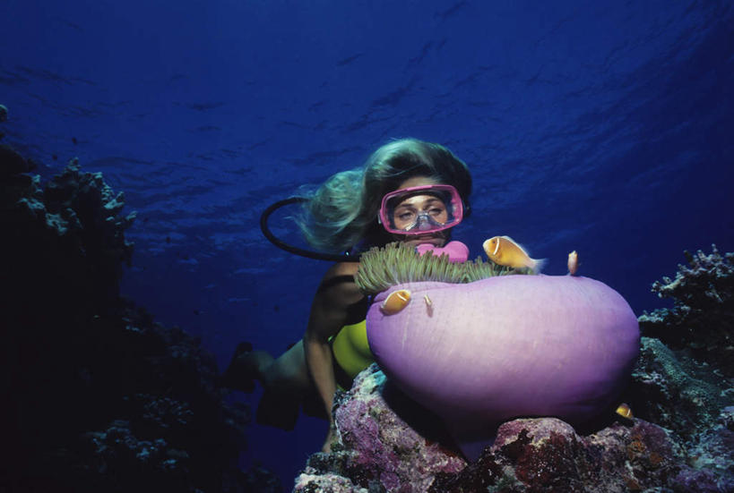 游泳,西方人,眼睛,眉毛,睫毛,一个人,横图,室外,白天,正面,锻炼,运动,海底,水下,礁石,石头,欧洲,欧洲人,瞳孔,仅一个年轻女性,仅一个女性,仅一个人,珊瑚,石子,水底,注视,珊瑚礁,观察,看,海底世界,眼部,潜水,观看,察看,关注,咸水鱼,海底礁,潜水运动,体育,年轻女性,女人,女性,白种人,睫,眉,眼,眼睫毛,眼眉,海床,礁,石块,岩石,半身,彩图,健身,眼眉毛