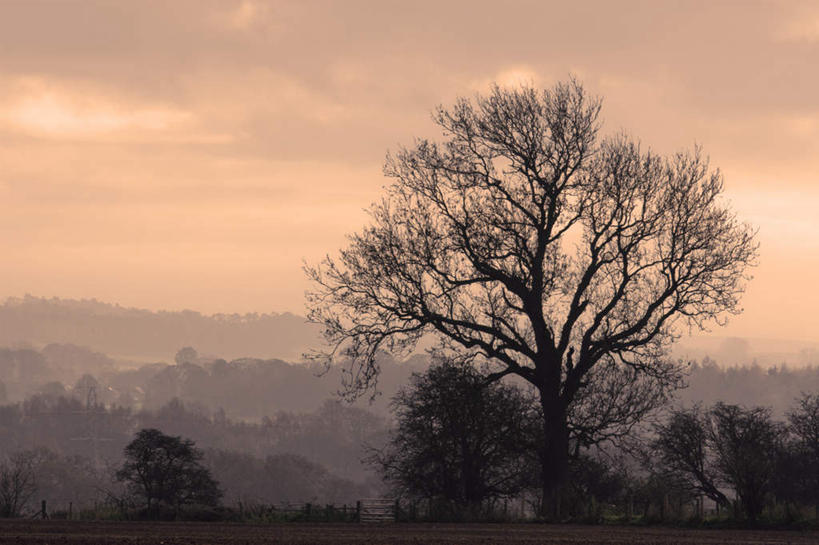 无人,横图,室外,白天,正面,旅游,度假,美景,日落,树林,植物,英国,欧洲,景观,晚霞,霞光,云,云朵,落日,云彩,娱乐,树,树木,蓝色,绿色,白云,蓝天,天空,自然,黄昏,天,享受,休闲,景色,彩霞,放松,生长,晴朗,成长,西欧,自然风光,大不列颠,威尔士,大不列颠及北爱尔兰联合王国,大不列颠联合王国,日不落英帝国,威尔士公国,夕照,格温内思郡,坎布里亚山脉,晴空,夕阳,彩图,斜阳