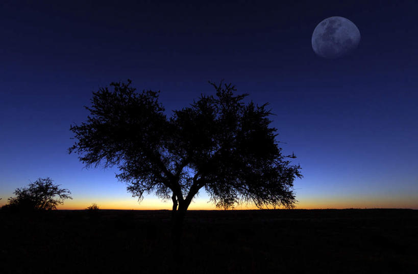 无人,横图,室外,白天,正面,旅游,度假,美景,日落,植物,非洲,南非,地平线,景观,晚霞,霞光,月亮,落日,辽阔,地面,月光,娱乐,树,树木,蓝色,绿色,蓝天,天空,自然,黄昏,天,享受,休闲,广阔,景色,彩霞,放松,生长,晴朗,成长,一望无际,明亮,自然风光,延伸,万里无云,普马兰加省,天地相交,皎洁,阿非利加洲,南非共和国,无边无际,一马平川,夕照,晴空,晴空万里,夕阳,彩图,斜阳