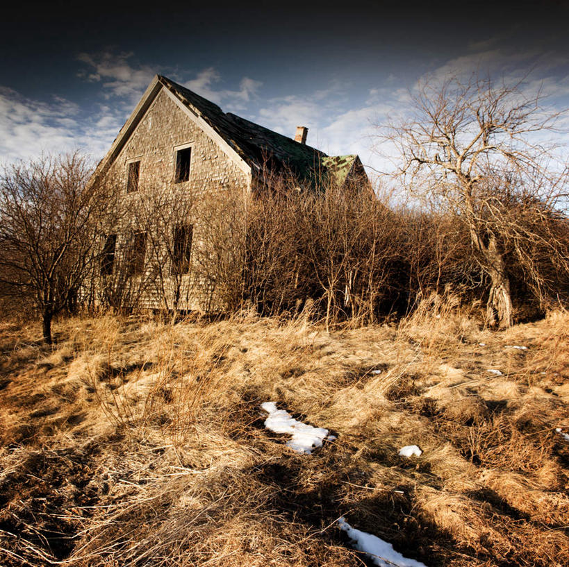 无人,家,横图,室内,白天,正面,树林,植物,一幢,阴影,枯萎,光线,影子,房屋,屋子,云,云朵,枯草,云彩,楼房,住宅,草,树,树木,黄色,蓝色,绿色,白云,蓝天,天空,阳光,自然,天,生长,晴朗,成长,晴空,彩图,房子