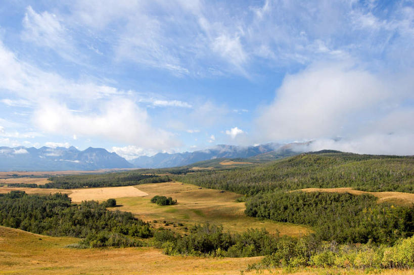 无人,横图,室外,白天,正面,旅游,度假,美景,森林,山,山脉,树林,植物,加拿大,阴影,光线,影子,景观,山峰,土地,云,云朵,山峦,云彩,娱乐,树,树木,蓝色,绿色,白云,蓝天,天空,阳光,自然,群山,天,享受,休闲,景色,放松,生长,晴朗,成长,北美,北美洲,自然风光,美洲,洛矶山脉,落基山脉,北亚美利加洲,亚美利加洲,亚伯达盆地,晴空,彩图
