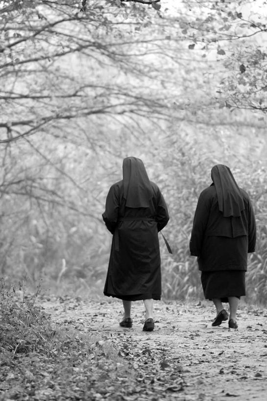 西方人,两个人,走,竖图,黑白,室外,白天,正面,树林,植物,叶子,欧洲,欧洲人,枯叶,落叶,树,树木,绿色,黑色,自然,生长,成长,年轻女性,女人,女性,白种人,叶,叶片,修女,步行,散步,走路,全身