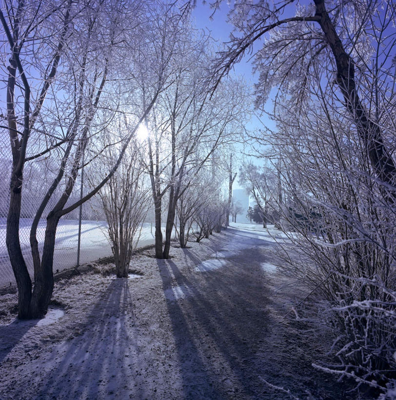 无人,方图,室外,白天,正面,旅游,度假,美景,树林,雪,植物,大雪,城市,美国,阴影,光线,影子,积雪,景观,雪景,冬季,冬天,娱乐,树,树木,蓝色,绿色,蓝天,天空,阳光,自然,天,享受,休闲,景色,放松,寒冷,生长,晴朗,成长,北美,北美洲,自然风光,德克萨斯州,美洲,德克萨斯,圣安东尼奥,万里无云,得州,德州,得克萨斯州,孤星之州,北亚美利加洲,亚美利加洲,严寒,圣安东尼,圣安东尼奥市,晴空,晴空万里,彩图