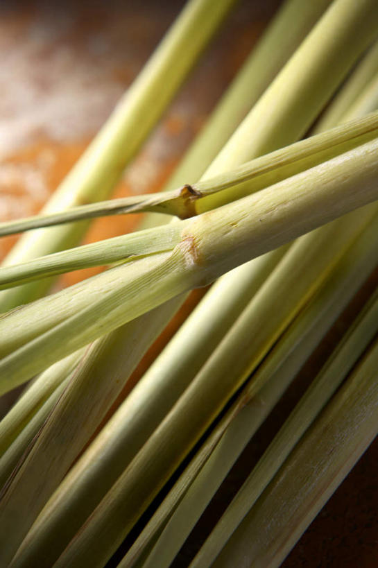 无人,竖图,室内,白天,正面,植物,蔬菜,一堆,许多,堆积,新鲜,食品,草药,药草,柠檬草,中药,食物,绿色,有机食品,绿色食品,堆,药材,中草药,中药材,本草,彩图