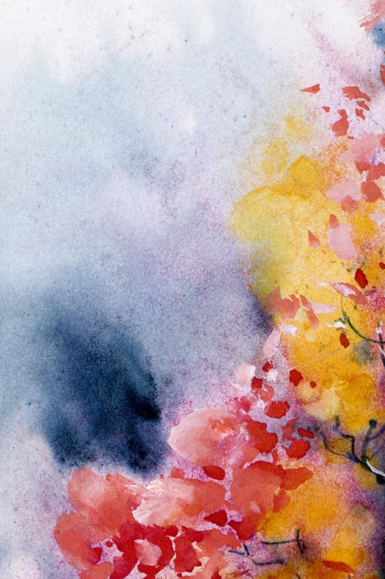 无人,竖图,室外,白天,正面,绘画,朦胧,模糊,艺术,盛开,古典,花蕾,文化,花,花瓣,花朵,鲜花,红色,工艺品,花苞,花蕊,品味,美术,水彩,水彩画,高雅,美学,彩图