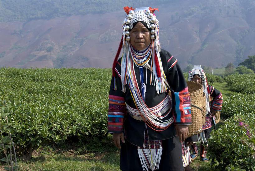 东方人,三个人,农田,站,交叉,横图,室外,白天,正面,民族服装,旅游,度假,幸福,庄稼,农作物,采摘,美景,茶,竹子,泰国,亚洲,阴影,竹制,编织,光线,篮子,箩筐,影子,景观,茶叶,注视,黄种人,娱乐,阳光,自然,竹篮,观察,看,站着,享受,休闲,温馨,景色,放松,乐趣,东南亚,观看,竹条,交织,察看,提神,舒适,竹制品,关注,自然风光,醒脑,泰王国,穿插,高山族,年轻女性,女人,女性,亚洲人,站立,半身,彩图,传统服装,民俗服,耕地,庄稼田