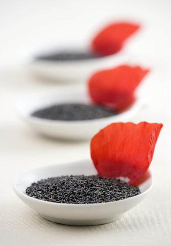 无人,竖图,俯视,室内,特写,白天,植物,罂粟,静物,餐具,朦胧,模糊,装饰,盛开,碟子,盘,陶瓷,调味,香料,佐料,草药,陶瓷制品,花蕾,中药,花,花瓣,花朵,鲜花,红色,盘子,碟,花苞,花蕊,华丽,修饰,点缀,配料,毒品,药材,中草药,中药材,本草,止痛,镇静,安眠,作料,衬托,美观,雅致,雅观,三瓣,罂粟花,彩图,高角度拍摄