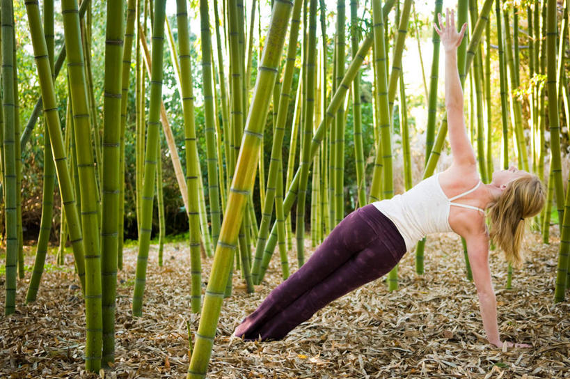 西方人,一个人,横图,室外,白天,锻炼,运动,树林,植物,竹子,叶子,欧洲,欧洲人,仅一个年轻女性,仅一个女性,仅一个人,撑,阴影,裤子,光线,背心,影子,竹林,枯叶,落叶,倾斜,树,树木,背面,绿色,紫色,白色,阳光,自然,扶,抓,生长,成长,撑着,扶着,歪斜,体育,年轻女性,女人,女性,白种人,叶,叶片,彩图,全身,健身