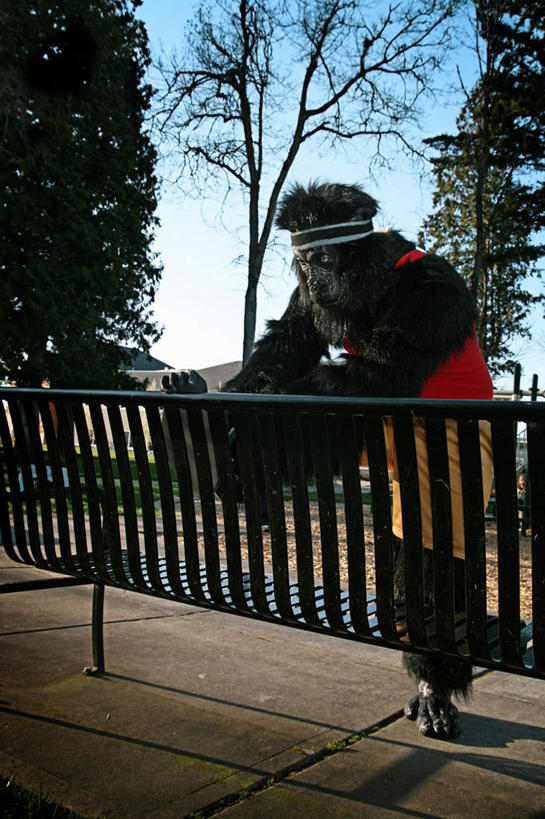 无人,站,竖图,室外,白天,正面,旅游,度假,草地,草坪,美景,树林,植物,道路,路,野生动物,猩猩,椅子,阴影,光线,影子,木椅,景观,小路,交通,注视,娱乐,草,树,树木,一只,绿色,阳光,自然,动物,观察,看,站着,享受,休闲,景色,放松,活泼,生长,成长,观看,察看,关注,自然风光,黄猩猩,红猩猩,红毛猩猩,站立,彩图,全身