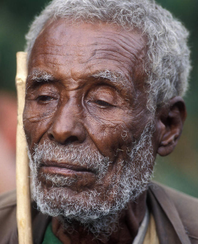 西方人,脸,头,脸颊,胡须,一个人,竖图,室外,特写,白天,正面,欧洲,非洲,黑人,欧洲人,仅一个男性,仅一个人,一根,朦胧,模糊,竹竿,白色,仅一个老年男性,老年男性,男人,男性,非洲人,头部,胡子,络腮胡,脸部,脸蛋,面部,半身,彩图,短发