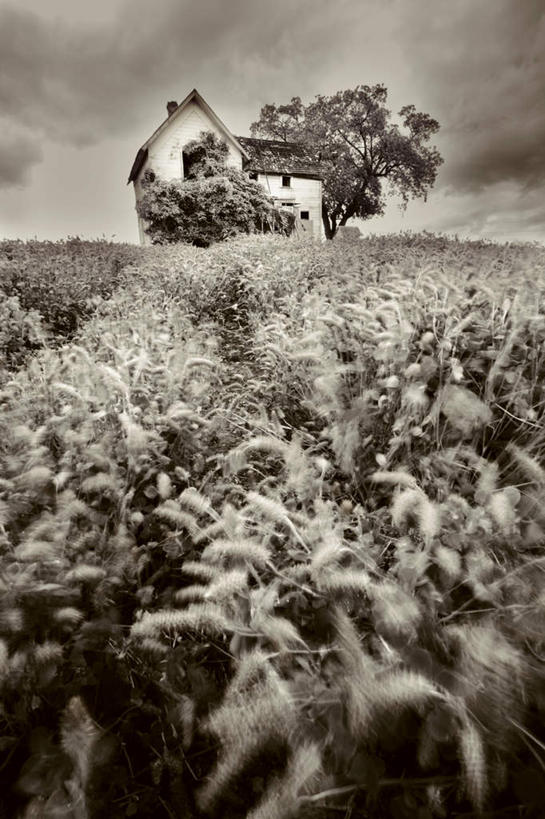 无人,家,农田,竖图,室外,白天,正面,旅游,度假,复古,安全,庄稼,农作物,名胜古迹,标志建筑,地标,建筑,古老,遗迹,陈旧,平静,房屋,屋子,古迹,破坏,文物,娱乐,建设,古建筑,楼房,破损,住宅,享受,休闲,旅游胜地,放松,哥特式,宁静,损坏,和平,安详,古文明,太平,安适,安好,宁靖,彩图,耕地,庄稼田,房子