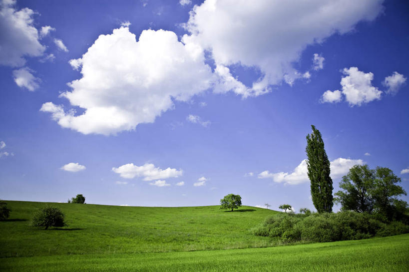 无人,横图,室外,白天,正面,旅游,度假,草地,草坪,美景,植物,阴影,光线,影子,景观,山坡,云,云朵,云彩,娱乐,草,树,树木,蓝色,绿色,白云,蓝天,天空,阳光,自然,天,享受,休闲,景色,放松,生长,晴朗,成长,自然风光,晴空,彩图