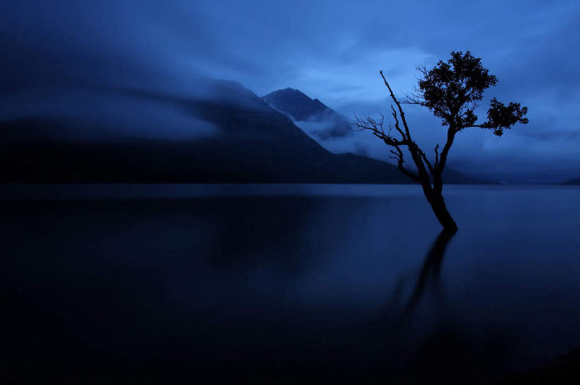 无人,横图,室外,白天,正面,旅游,度假,河流,美景,水,植物,加拿大,一棵,朦胧,模糊,平静,河水,景观,水流,娱乐,树,树木,蓝色,绿色,倒影,蓝天,天空,自然,天,享受,休闲,景色,放松,生长,成长,宁静,倒映,北美,北美洲,矗立,自然风光,美洲,耸立,洛矶山脉,落基山脉,北亚美利加洲,亚美利加洲,挺立,亚伯达盆地,反照,彩图