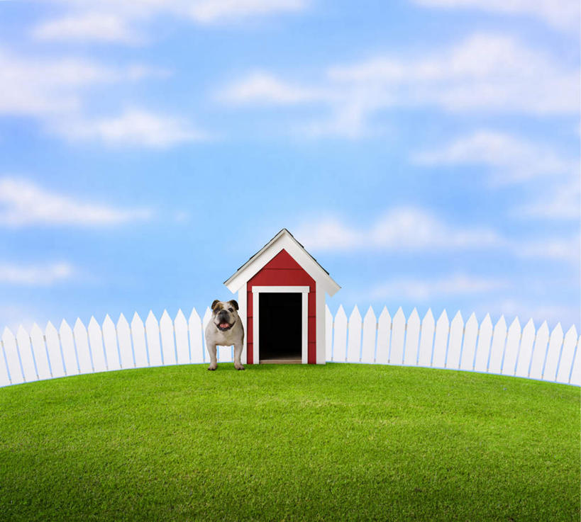 无人,栏杆,站,横图,室外,白天,正面,草地,草坪,植物,宠物,狗,阴影,光线,斗牛犬,影子,栅栏,篱笆,云,云朵,围栏,云彩,注视,护栏,草,蓝色,绿色,白云,蓝天,天空,阳光,动物,天,观察,看,站着,可爱,晴朗,观看,察看,狗窝,关注,牛头犬,忠诚,英国斗牛犬,斗牛狗,老虎狗,英国老虎犬,晴空,犬,站立,半身,彩图