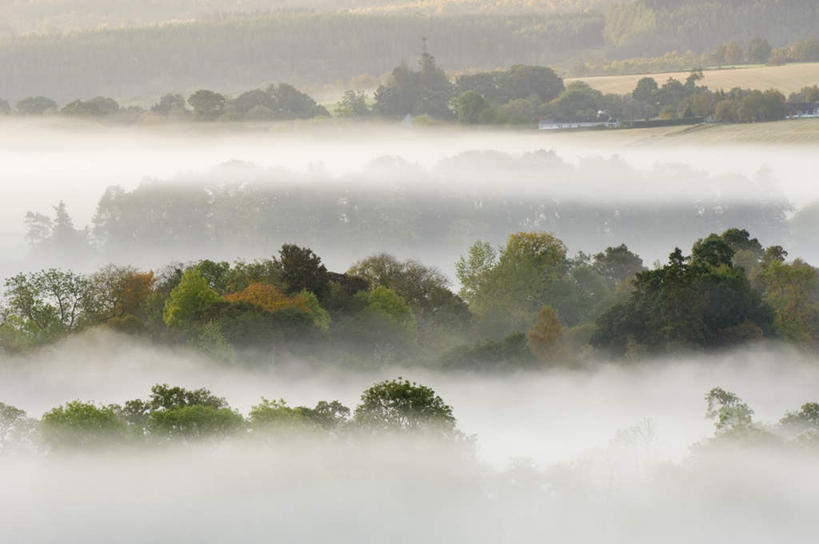 无人,横图,俯视,室外,白天,旅游,度假,美景,森林,树林,植物,雾,英国,欧洲,朦胧,模糊,景观,娱乐,苏格兰,树,树木,绿色,自然,享受,休闲,景色,放松,生长,成长,迷雾,西欧,自然风光,大不列颠,大不列颠及北爱尔兰联合王国,大不列颠联合王国,日不落英帝国,苏格兰王国,大雾,彩图,高角度拍摄