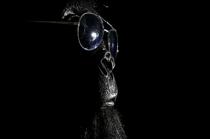 无人,坐,横图,室内,白天,侧面,野生动物,猩猩,黑色背景,墨镜,眼镜,注视,一只,动物,太阳镜,太阳眼镜,观察,看,遮阳镜,摄影,活泼,影棚,观看,察看,关注,黄猩猩,红猩猩,红毛猩猩,坐着,半身,彩图,影棚拍摄,拍摄